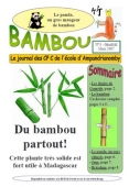 Bambou n3