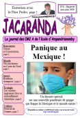 Jacaranda n6