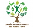 L'année  internationale des forêts