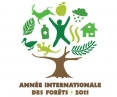 L'anne  internationale des forts