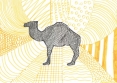 Rihab