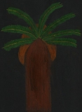Kenza M