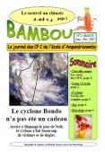 Bambou n°2