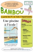 Bambou n°11